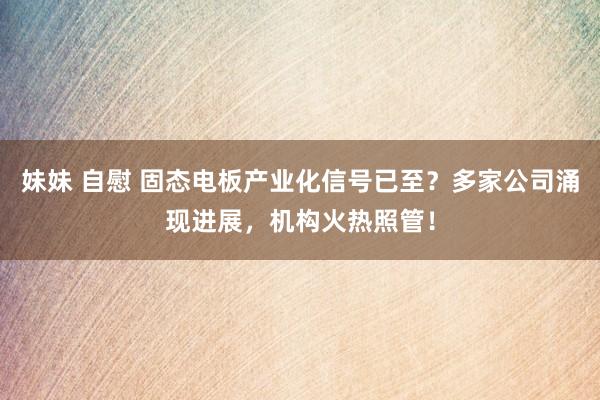 妹妹 自慰 固态电板产业化信号已至？多家公司涌现进展，机构火热照管！