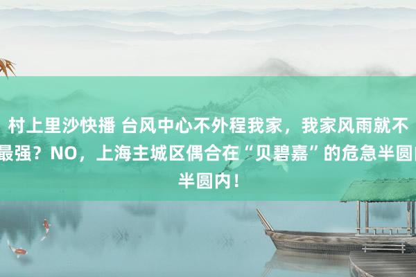 村上里沙快播 台风中心不外程我家，我家风雨就不是最强？NO，上海主城区偶合在“贝碧嘉”的危急半圆内！