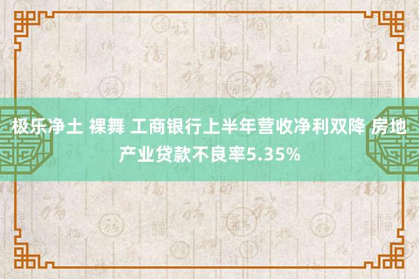 极乐净土 裸舞 工商银行上半年营收净利双降 房地产业贷款不良率5.35%