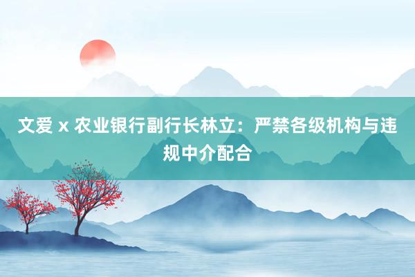 文爱 x 农业银行副行长林立：严禁各级机构与违规中介配合