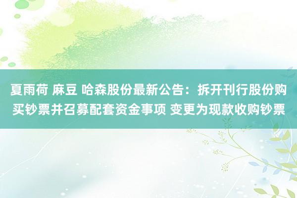 夏雨荷 麻豆 哈森股份最新公告：拆开刊行股份购买钞票并召募配套资金事项 变更为现款收购钞票