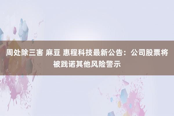 周处除三害 麻豆 惠程科技最新公告：公司股票将被践诺其他风险警示