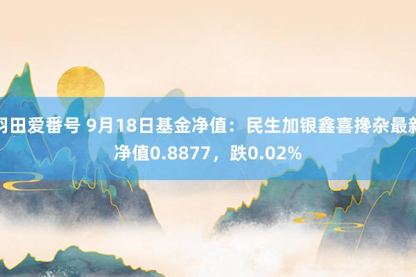 羽田爱番号 9月18日基金净值：民生加银鑫喜搀杂最新净值0.8877，跌0.02%