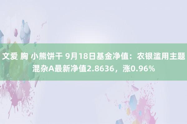 文爱 胸 小熊饼干 9月18日基金净值：农银滥用主题混杂A最新净值2.8636，涨0.96%