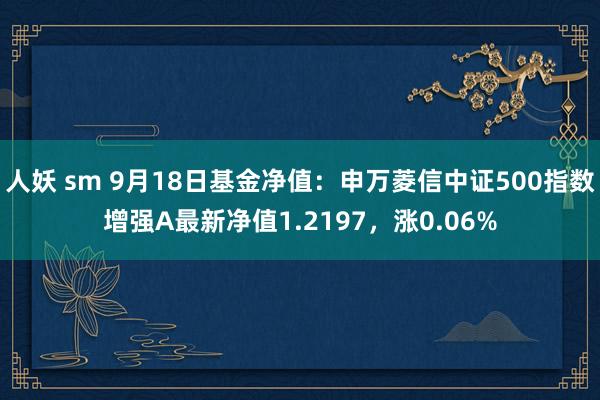 人妖 sm 9月18日基金净值：申万菱信中证500指数增强A最新净值1.2197，涨0.06%