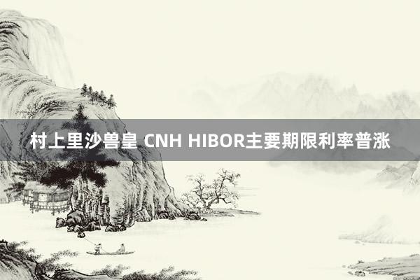 村上里沙兽皇 CNH HIBOR主要期限利率普涨