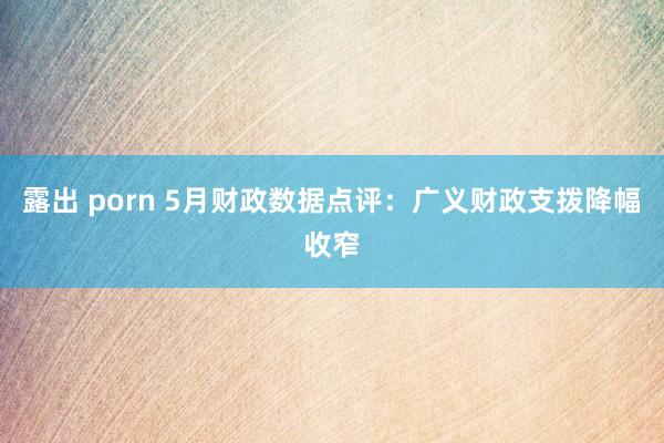 露出 porn 5月财政数据点评：广义财政支拨降幅收窄