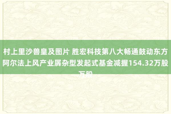 村上里沙兽皇及图片 胜宏科技第八大畅通鼓动东方阿尔法上风产业羼杂型发起式基金减握154.32万股