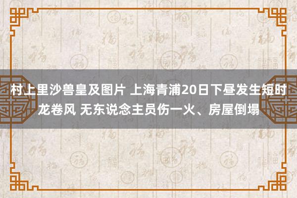 村上里沙兽皇及图片 上海青浦20日下昼发生短时龙卷风 无东说念主员伤一火、房屋倒塌