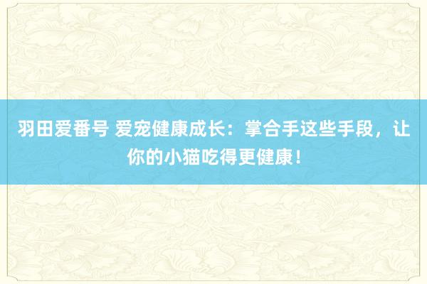 羽田爱番号 爱宠健康成长：掌合手这些手段，让你的小猫吃得更健康！