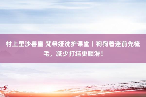 村上里沙兽皇 梵希娅洗护课堂丨狗狗着迷前先梳毛，减少打结更顺滑！