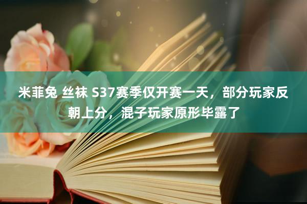 米菲兔 丝袜 S37赛季仅开赛一天，部分玩家反朝上分，混子玩家原形毕露了