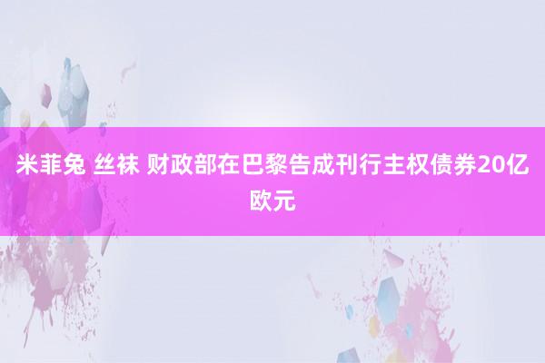 米菲兔 丝袜 财政部在巴黎告成刊行主权债券20亿欧元