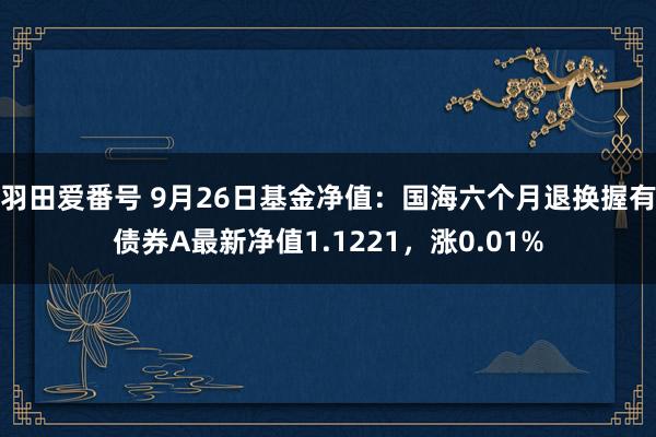 羽田爱番号 9月26日基金净值：国海六个月退换握有债券A最新净值1.1221，涨0.01%