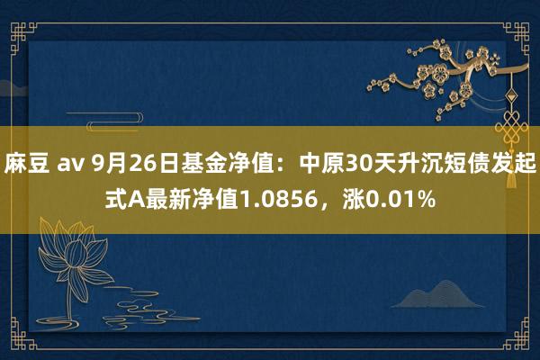 麻豆 av 9月26日基金净值：中原30天升沉短债发起式A最新净值1.0856，涨0.01%