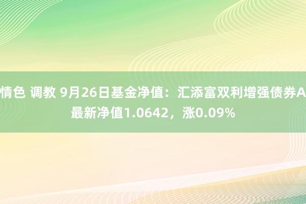 情色 调教 9月26日基金净值：汇添富双利增强债券A最新净值1.0642，涨0.09%