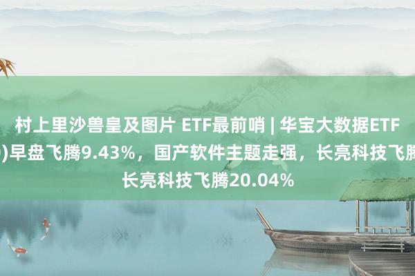 村上里沙兽皇及图片 ETF最前哨 | 华宝大数据ETF(516700)早盘飞腾9.43%，国产软件主题走强，长亮科技飞腾20.04%