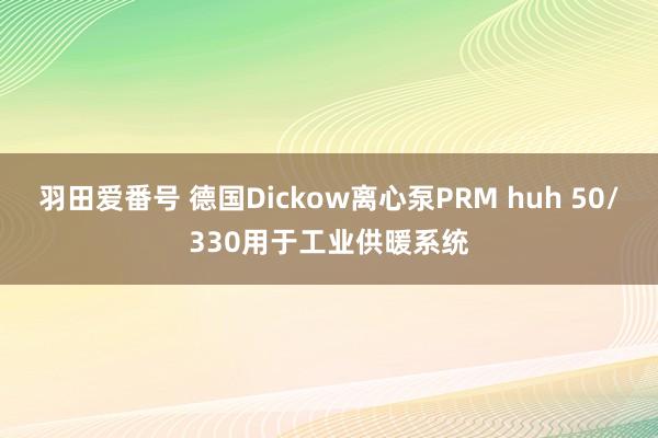 羽田爱番号 德国Dickow离心泵PRM huh 50/330用于工业供暖系统