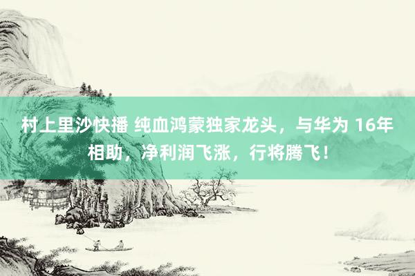 村上里沙快播 纯血鸿蒙独家龙头，与华为 16年相助，净利润飞涨，行将腾飞！