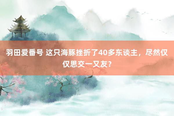 羽田爱番号 这只海豚挫折了40多东谈主，尽然仅仅思交一又友？