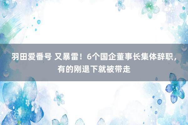 羽田爱番号 又暴雷！6个国企董事长集体辞职，有的刚退下就被带走