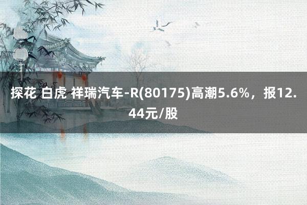 探花 白虎 祥瑞汽车-R(80175)高潮5.6%，报12.44元/股