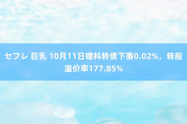 セフレ 巨乳 10月11日锂科转债下落0.02%，转股溢价率177.85%