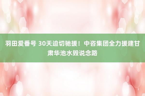 羽田爱番号 30天迫切驰援！中咨集团全力援建甘肃华池水毁说念路