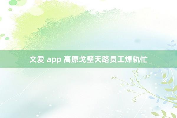 文爱 app 高原戈壁天路员工焊轨忙