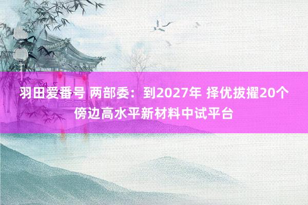 羽田爱番号 两部委：到2027年 择优拔擢20个傍边高水平新材料中试平台