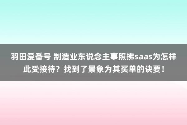 羽田爱番号 制造业东说念主事照拂saas为怎样此受接待？找到了景象为其买单的诀要！