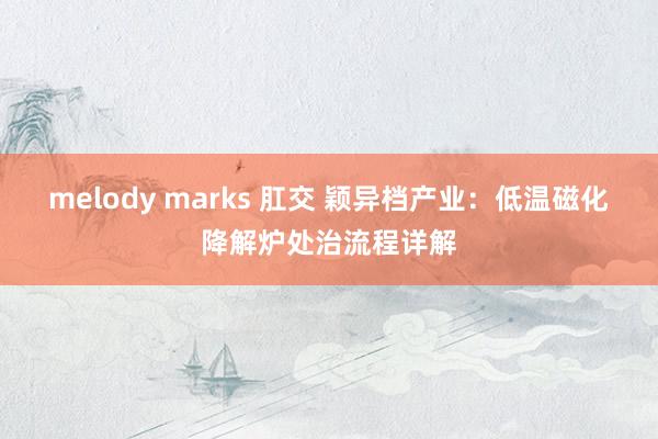 melody marks 肛交 颖异档产业：低温磁化降解炉处治流程详解