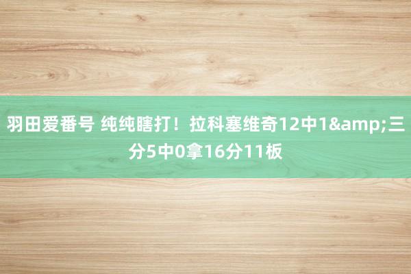 羽田爱番号 纯纯瞎打！拉科塞维奇12中1&三分5中0拿16分11板