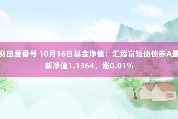 羽田爱番号 10月16日基金净值：汇添富短债债券A最新净值1.1364，涨0.01%