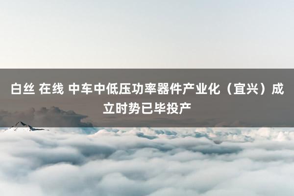 白丝 在线 中车中低压功率器件产业化（宜兴）成立时势已毕投产