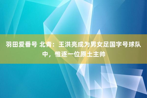 羽田爱番号 北青：王洪亮成为男女足国字号球队中，惟逐一位原土主帅