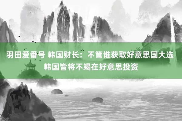 羽田爱番号 韩国财长：不管谁获取好意思国大选 韩国皆将不竭在好意思投资