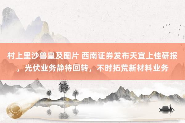 村上里沙兽皇及图片 西南证券发布天宜上佳研报，光伏业务静待回转，不时拓荒新材料业务