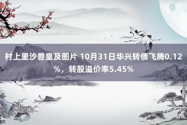 村上里沙兽皇及图片 10月31日华兴转债飞腾0.12%，转股溢价率5.45%