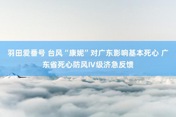 羽田爱番号 台风“康妮”对广东影响基本死心 广东省死心防风Ⅳ级济急反馈