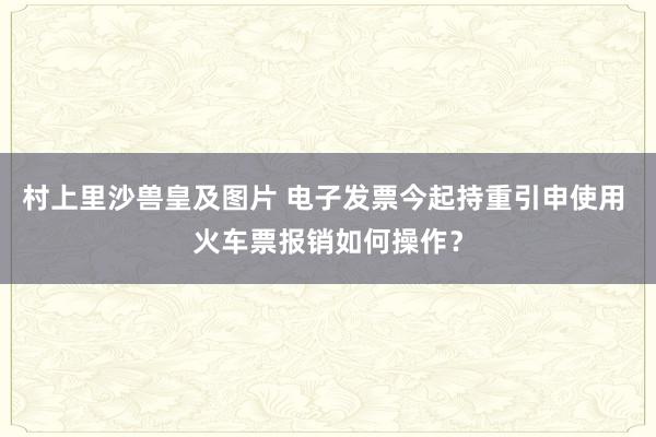 村上里沙兽皇及图片 电子发票今起持重引申使用 火车票报销如何操作？