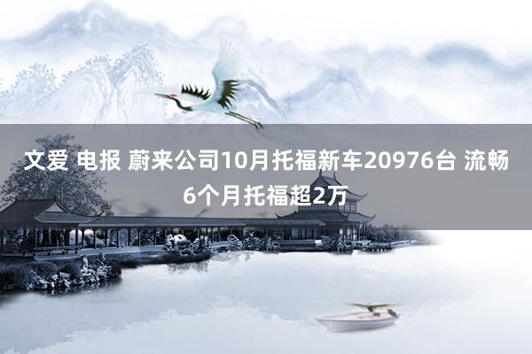 文爱 电报 蔚来公司10月托福新车20976台 流畅6个月托福超2万