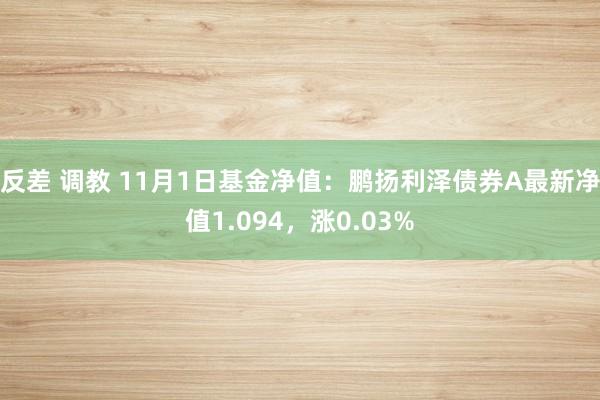 反差 调教 11月1日基金净值：鹏扬利泽债券A最新净值1.094，涨0.03%