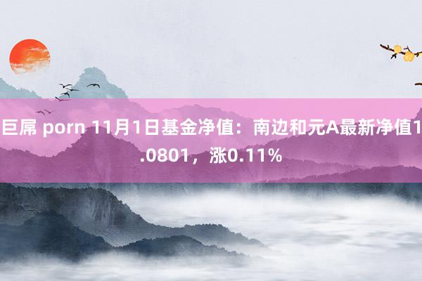 巨屌 porn 11月1日基金净值：南边和元A最新净值1.0801，涨0.11%