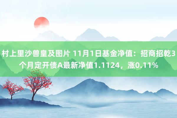 村上里沙兽皇及图片 11月1日基金净值：招商招乾3个月定开债A最新净值1.1124，涨0.11%