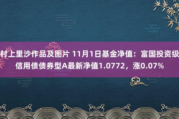 村上里沙作品及图片 11月1日基金净值：富国投资级信用债债券型A最新净值1.0772，涨0.07%