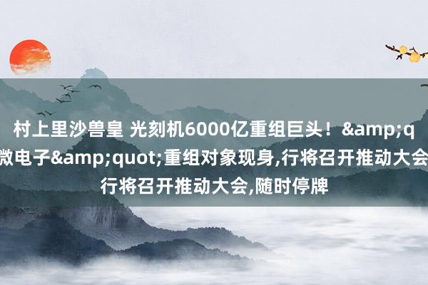 村上里沙兽皇 光刻机6000亿重组巨头！&quot;上海微电子&quot;重组对象现身，行将召开推动大会，随时停牌