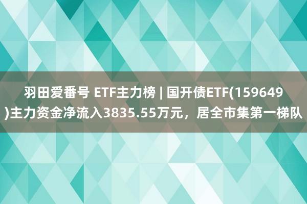 羽田爱番号 ETF主力榜 | 国开债ETF(159649)主力资金净流入3835.55万元，居全市集第一梯队