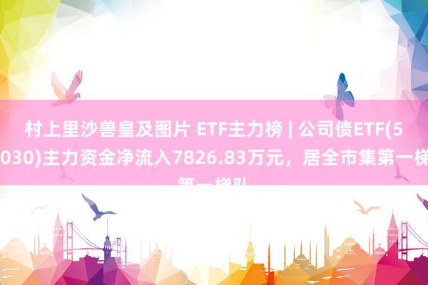 村上里沙兽皇及图片 ETF主力榜 | 公司债ETF(511030)主力资金净流入7826.83万元，居全市集第一梯队