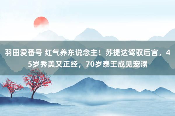 羽田爱番号 红气养东说念主！苏提达驾驭后宫，45岁秀美又正经，70岁泰王成见宠溺